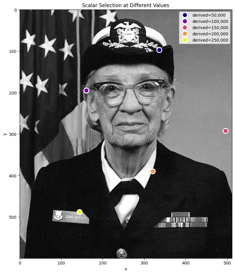 <Figure size 800x1000 with 1 Axes>